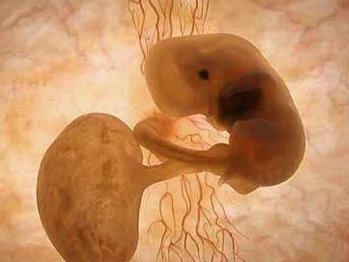 试管婴儿检查项目，国内靠谱试管助孕医院名单