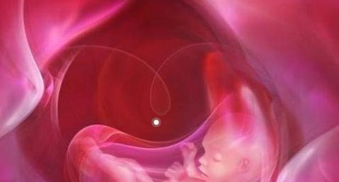 染色体易位做试管成功率怎样？高不高？