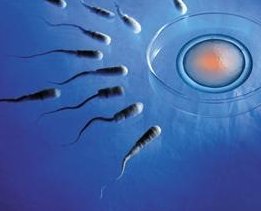 2026陕西精子存储医院医院排名，附陕西助孕费用明细