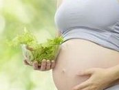 湖南株洲正规助孕公司推荐，共有四家机构可供患者选择