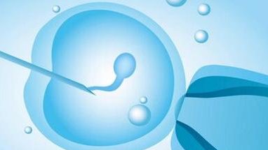 山西太原三大助孕公司名单公布：每家公司都各有特点和优势