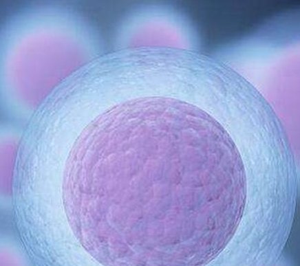 广东省助孕行业领军企业选哪家？揭秘大型助孕机构挑选攻略