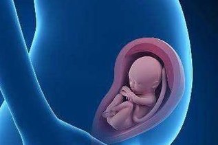 美国试管婴儿具体步骤大解析，从检查到移植真没那么难